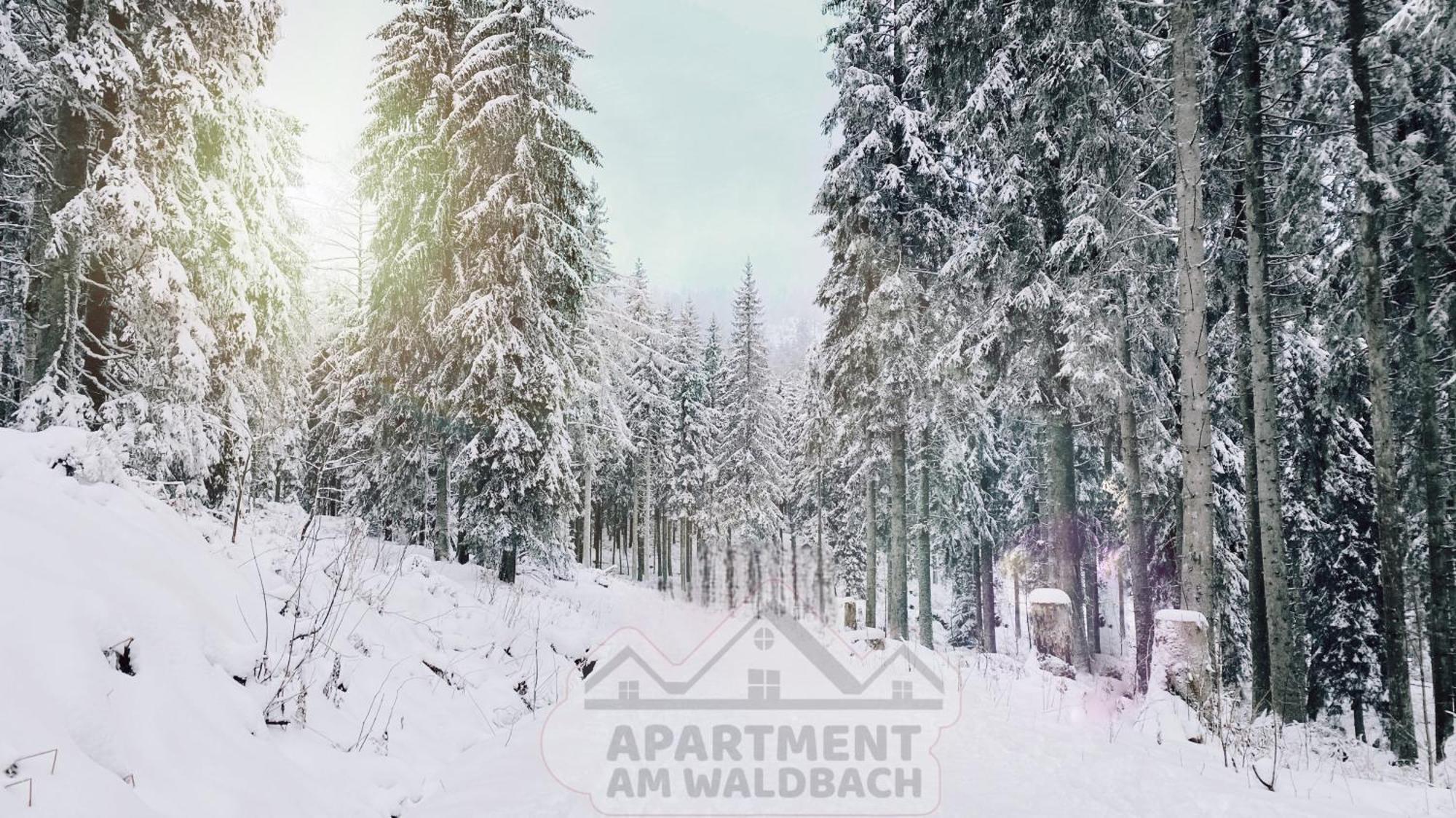 Apartment Am Waldbach Gernsbach Exterior foto